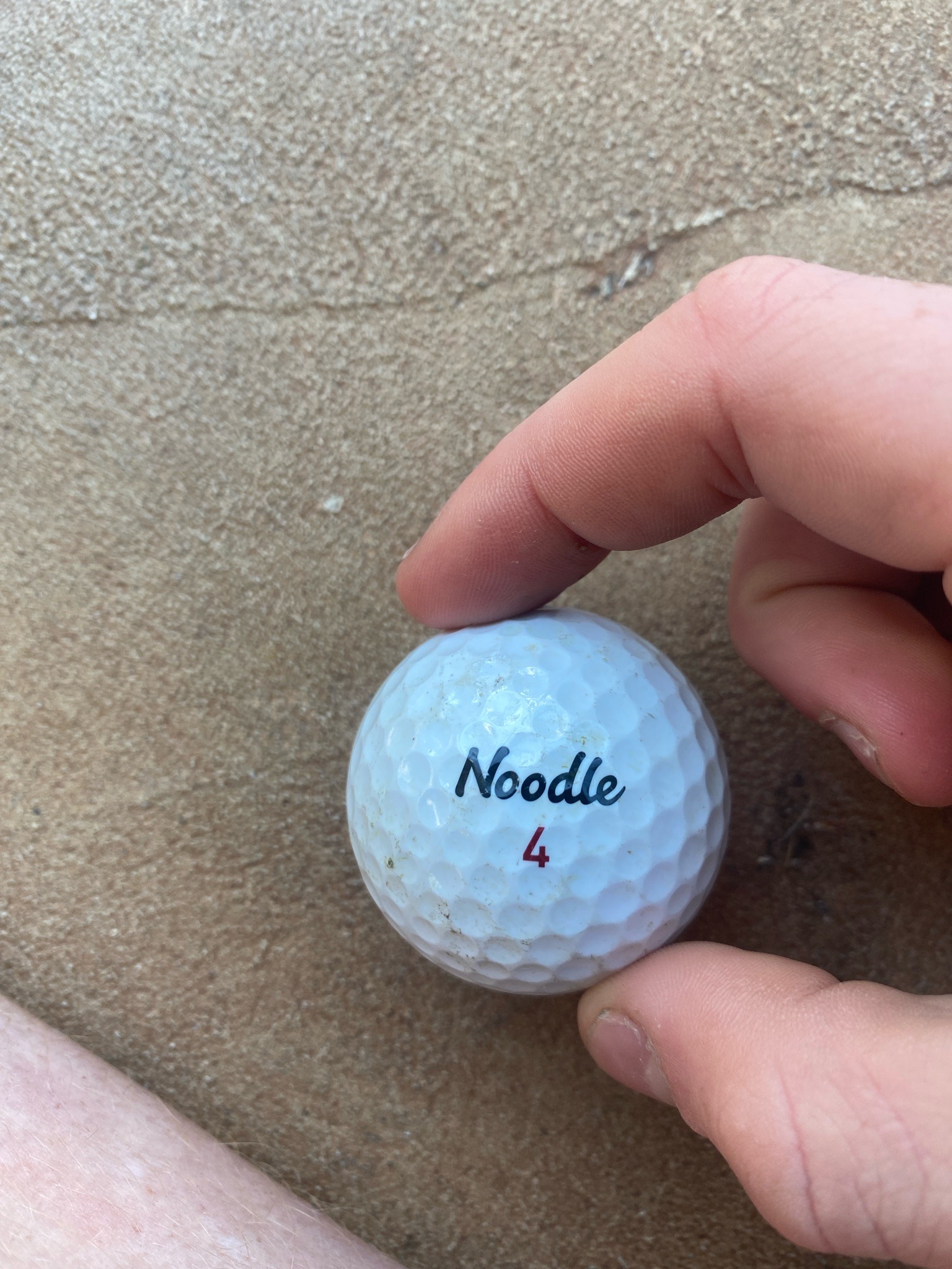 Submitted photo of Noodle golf ball (not authenticated)
