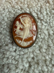Carved Shell Cameo Brooch/Pendant