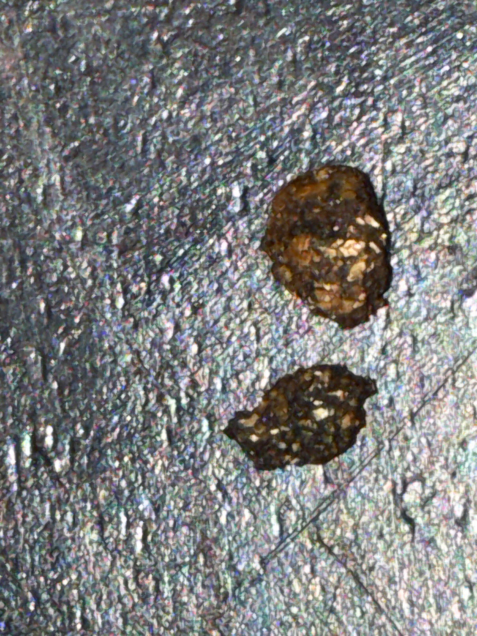 Raw Placer Gold Nuggets