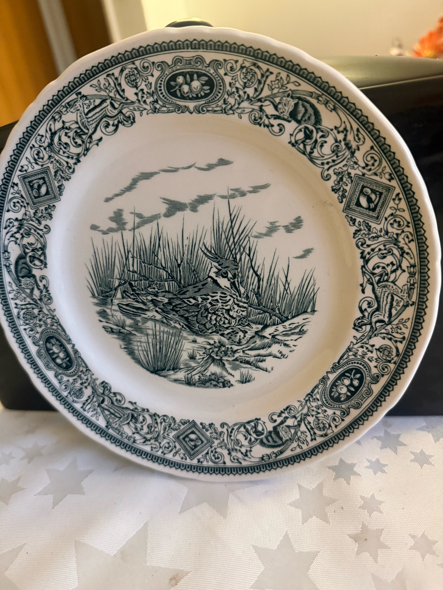 Submitted photo of Transferware ceramic plate