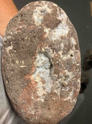 Unpolished Chalcedony Geode (Thunderegg)