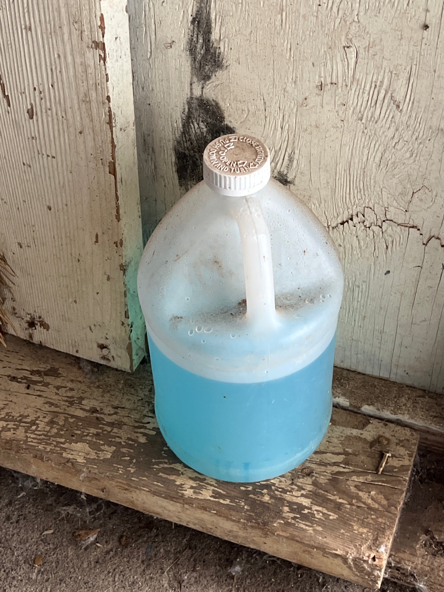 Submitted photo of Plastic jug containing blue liquid
