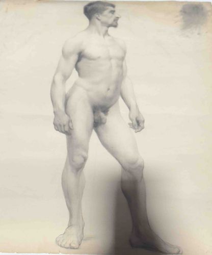 Academic Male Nude Study