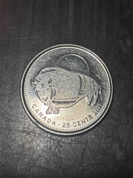 Canadian 25-Cent Coin (Bison)