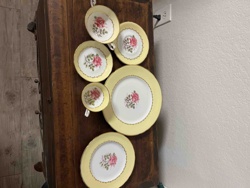 Yellow and Rose Porcelain Dinnerware Set