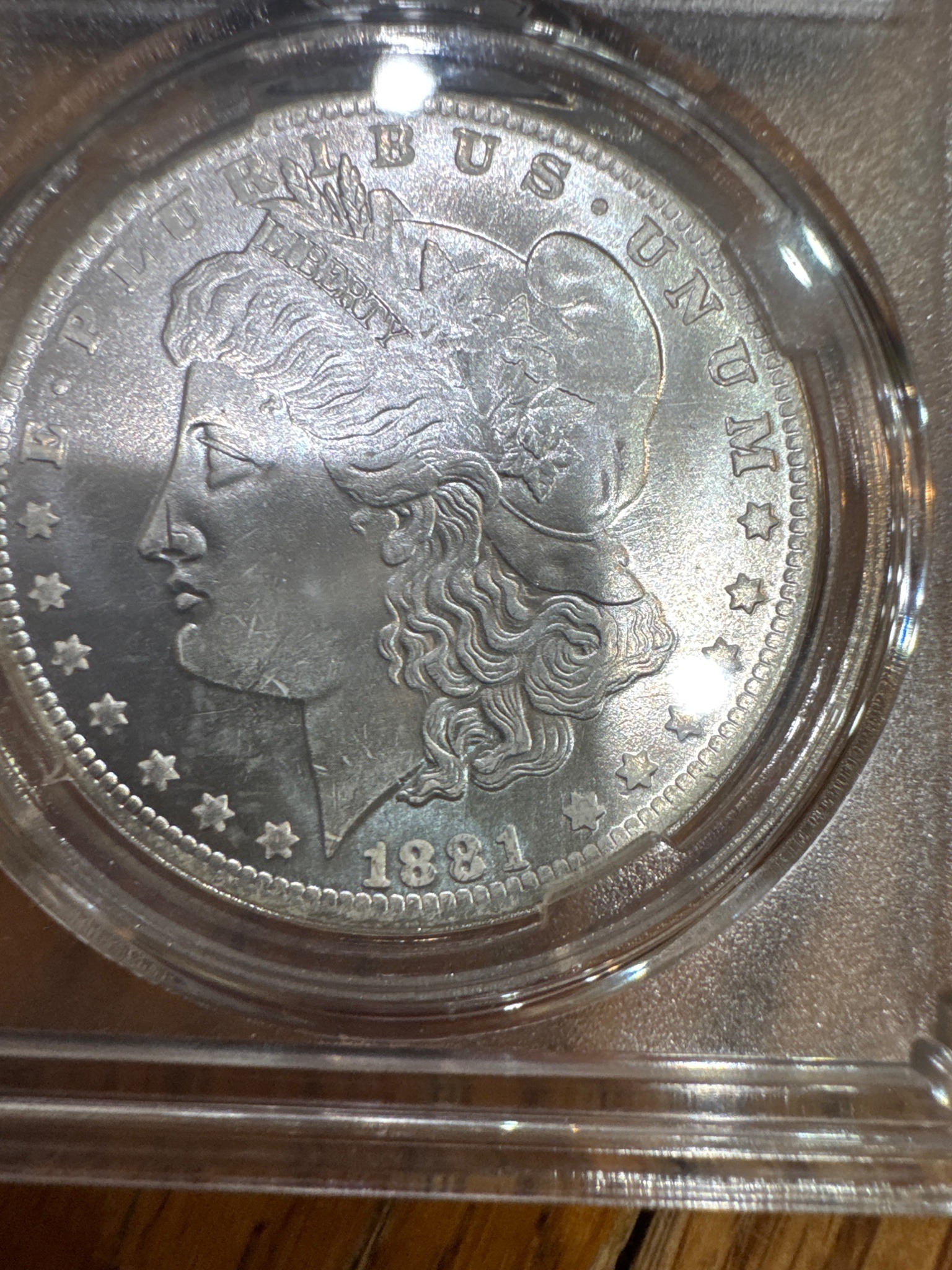 Submitted photo of 1881 Morgan Dollar (not authenticated)