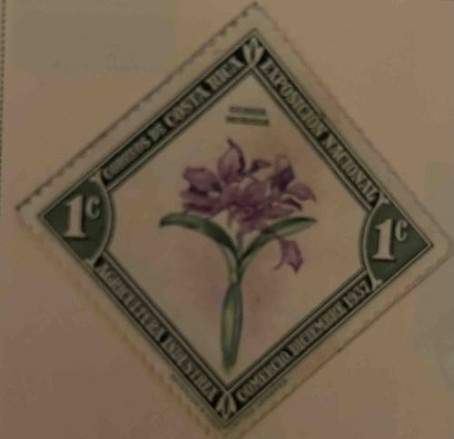 Costa Rican National Exhibition 1937 Postage Stamp