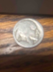 Buffalo Nickel (Obverse)
