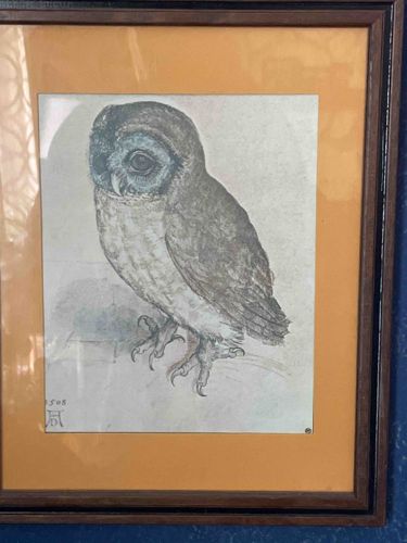 Albrecht Dürer Little Owl (Das Käuzchen) Print