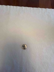 1988 P Roosevelt Dime