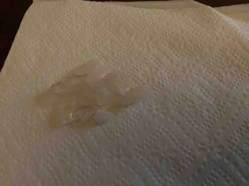 Small Collection of Rough Clear Quartz Shards