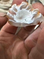 Agate Geode Slice with Druzy Quartz