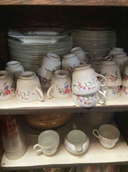 Devon Sprays Wedgewood Bone China Dinnerware Set