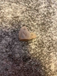Prehistoric Lithic Flake