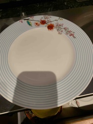 Lenox Chirp Stripes Dinner Plate