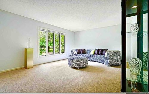 Zebra Print Sectional Sofa Set with Ottoman