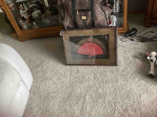 Framed Decorative Hand Fan