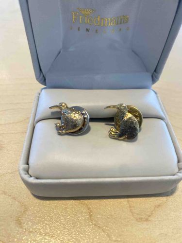 Pair of Kiwi Bird Pins/Cufflinks