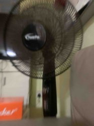 Oscillating Pedestal Fan