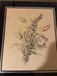 Framed Botanical Print