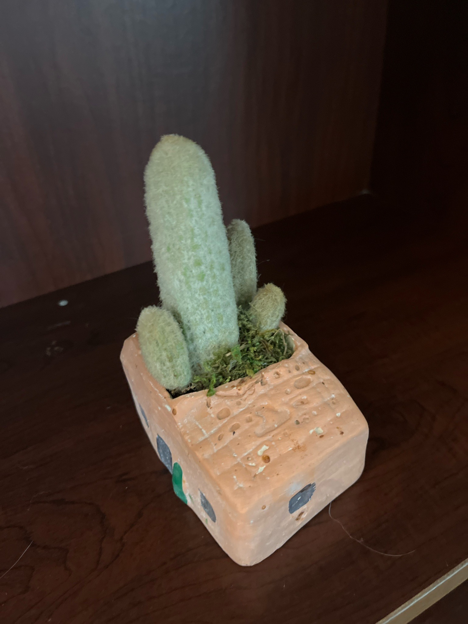 Submitted item photo