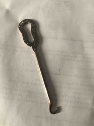 Vintage Button Hook