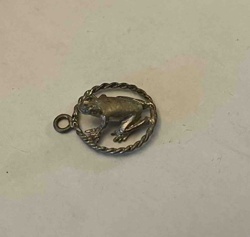 Vintage Silver-Toned Frog Charm with Rope Border