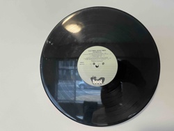 Vinyl Record: Old Times, Good Times by The Emeralds (bool label)