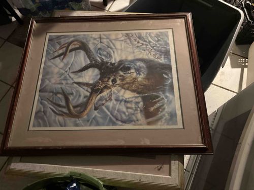 Framed Deer Print