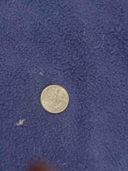 United States Quarter Dollar Coin