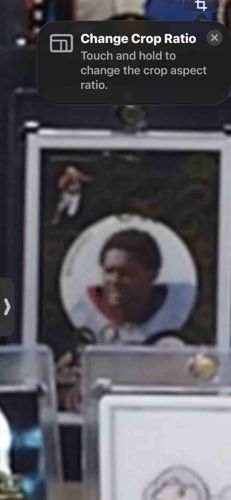 Modern Sportster Portrait Trading Card