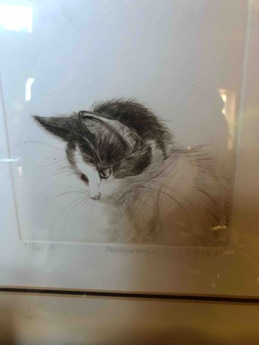 Limited Edition Cat Etching 'Meisterschwänzchen'