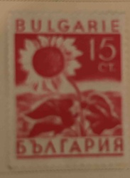 Bulgarian Sunflower Postage Stamp (15 ct.)