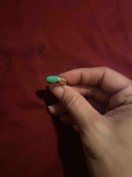 Turquoise Cabochon Ring