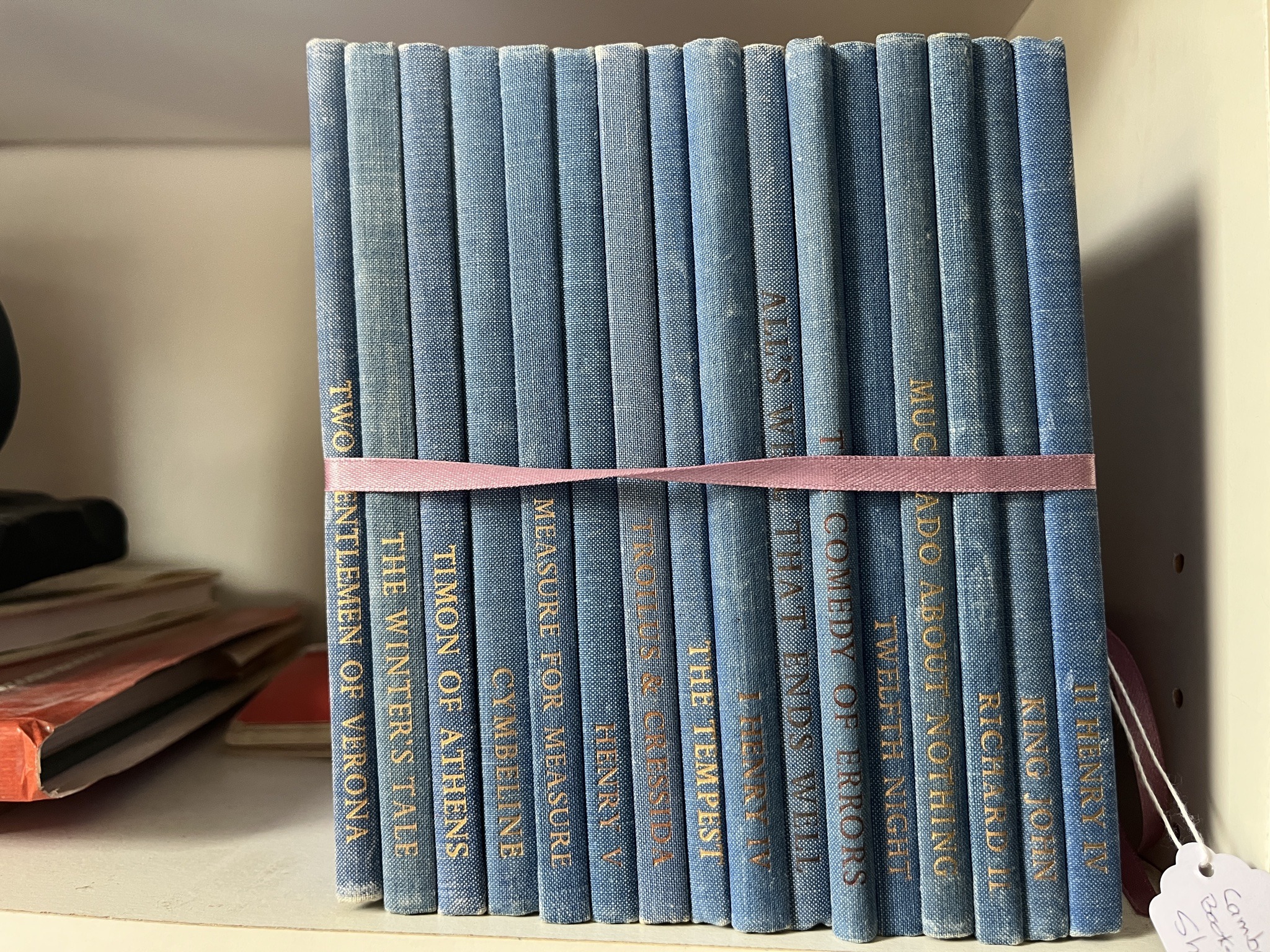 Submitted photo of Set of vintage-style blue clothbound books