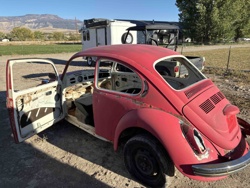 Volkswagen Beetle (Type 1) Project Car
