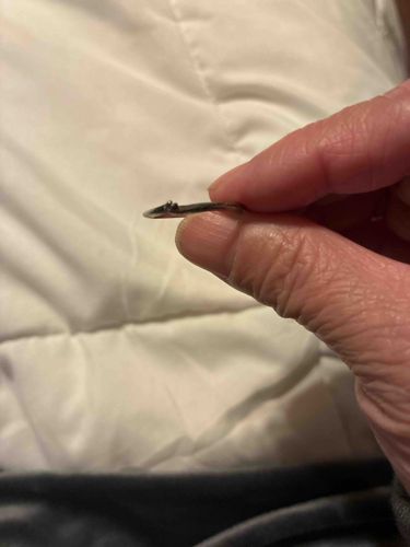 Petite Solitaire Diamond or Gemstone Ring