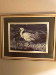 Framed Snowy Egret Art Print