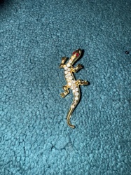 Gold-Tone Rhinestone Lizard Brooch with Red Eyes