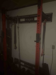 Rogue Fitness Wall-Mounted Rack System