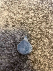 Teardrop Shaped Blue Object