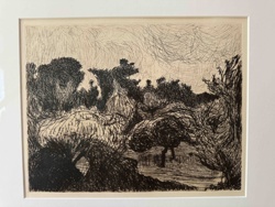 Dense Scenery / Forest Landscape Print