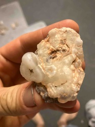 Botryoidal Chalcedony on Matrix