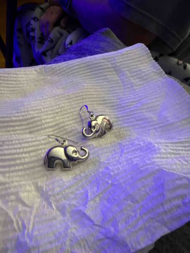 Silver-Toned Elephant Drop Earrings