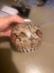 Decorative Ceramic Jar