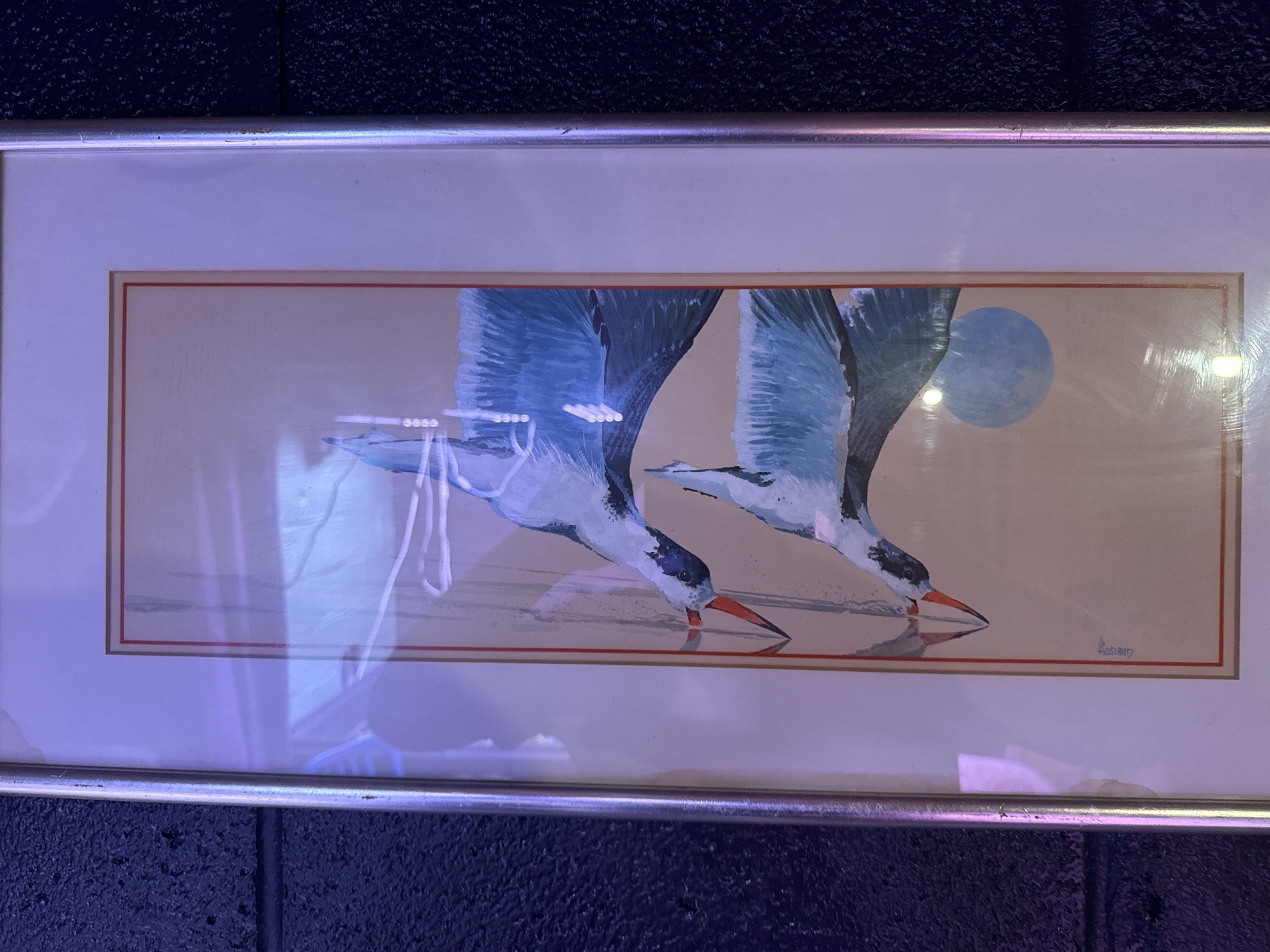 Submitted photo of Painting of birds signed 'V. HESLAND'