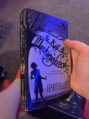 To Kill a Mockingbird by Harper Lee (Paperback Edition)