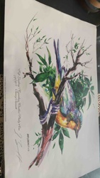 Rose Breasted Grosbeak / Early A.M. Limited Edition Print by Barry Barnett