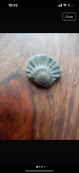 Ammonite Fossil