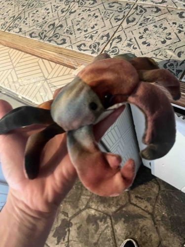 Ty Beanie Baby - Claude the Crab